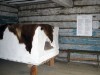O 2012_Szymbark 5